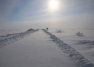雪に覆われた道