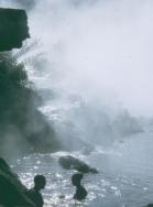 (C)Yellowstone Glacier Adventures, Inc.