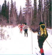 (C)Yellowstone Glacier Adventures, Inc.