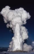 (C)Yellowstone Glacier Adventures, Inc.