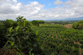 (C)PROEXPORT COLOMBIA