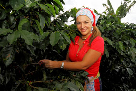 (C)PROEXPORT COLOMBIA