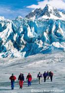 氷河の間近をハイキング