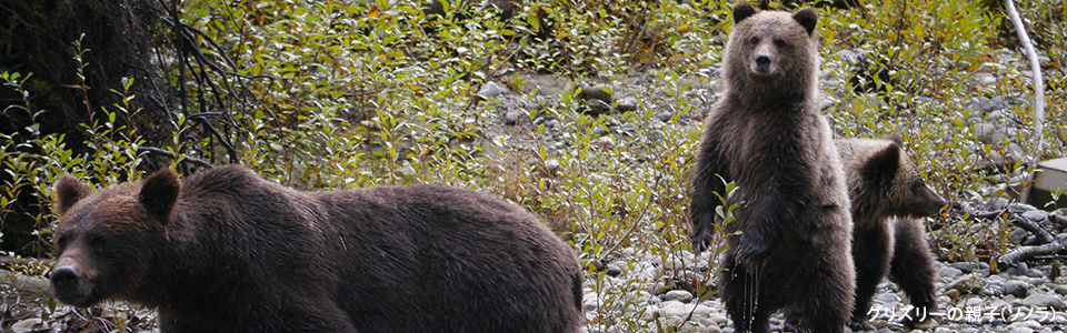 ボリビア・ウユニ塩湖完全攻略