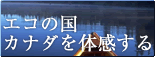 �G�R�̍��J�i�_��̊�����