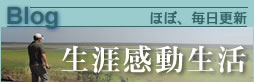 Staff Blog