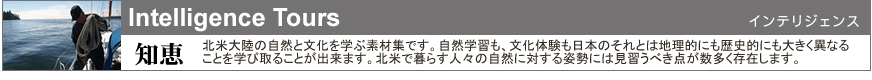 ¥«¥Ê¥À ¥¤¥ó¥Æ¥ê¥¸¥§¥ó¥¹¥Ä¥¢¡¼