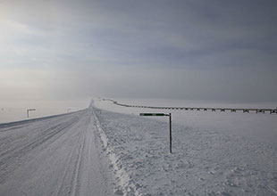 雪に覆われた道