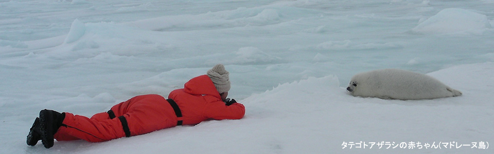 パナマ完全攻略