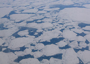 北極の流氷